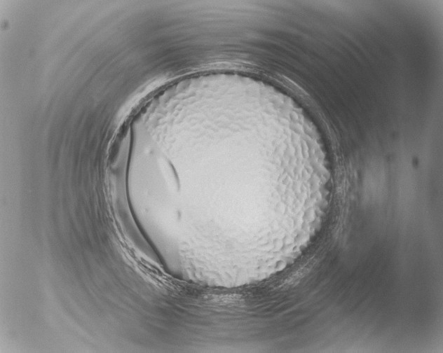 X0000051251043200507152144