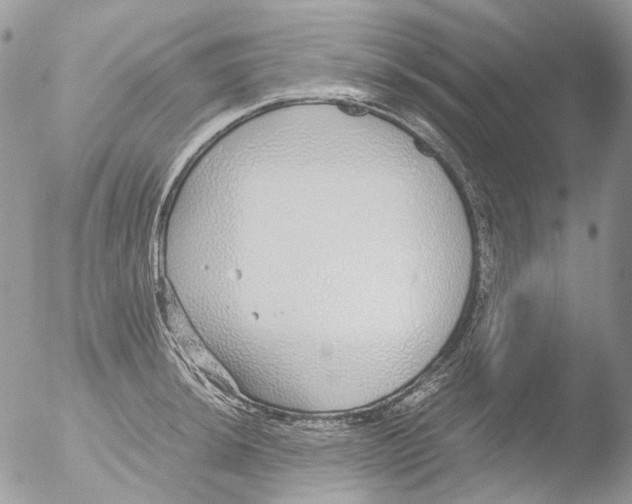 X0000051251044200507152144