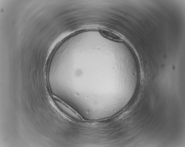 X0000051251045200507152144