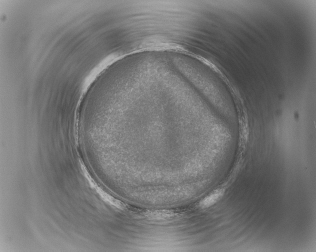 X0000051251046200507152144