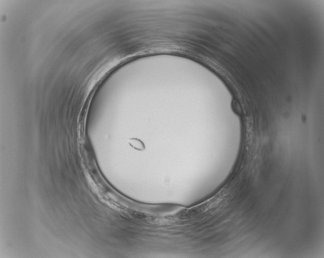 X0000051251047200507152144