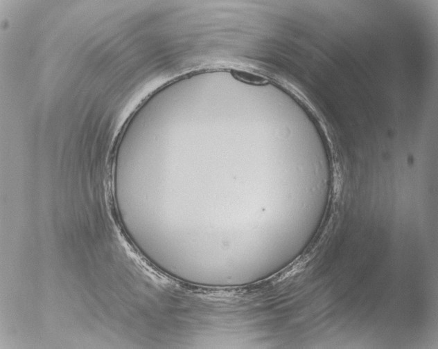 X0000051251048200507152144