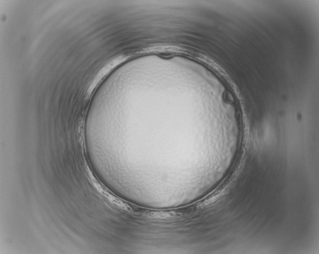 X0000051251049200507152144