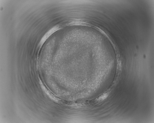 X0000051251050200507152144