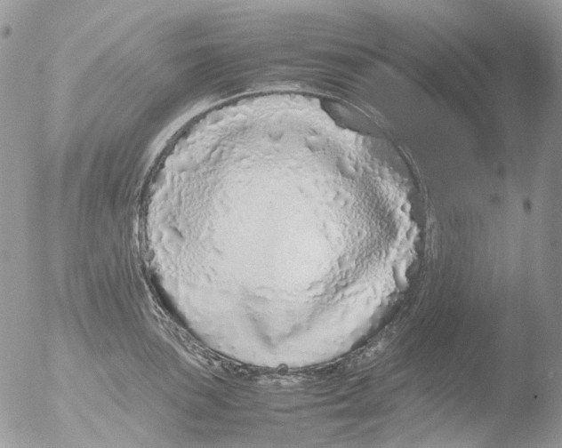 X0000051251051200507152144