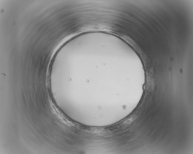 X0000051251052200507152144