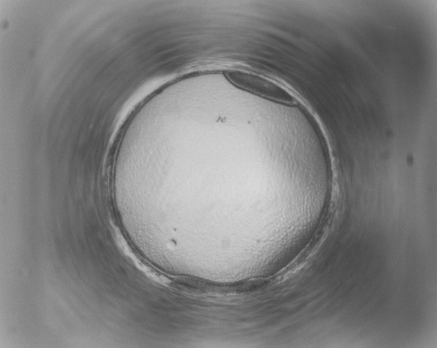 X0000051251053200507152144