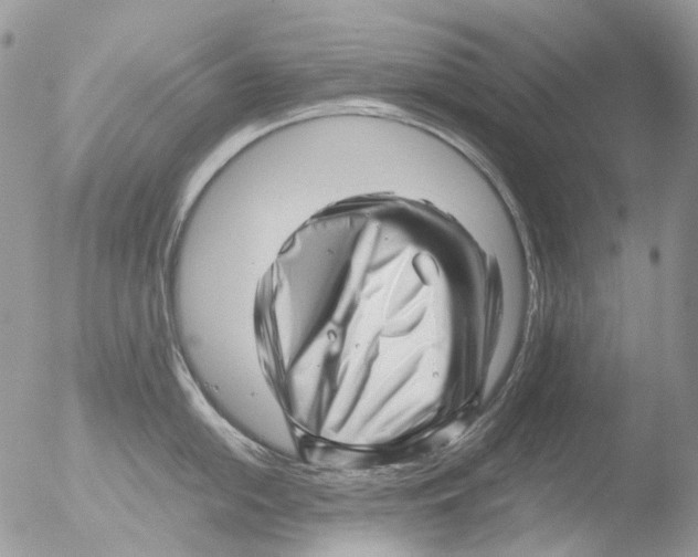 X0000051251054200507152144