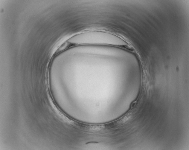 X0000051251055200507152144