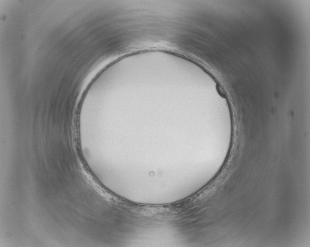 X0000051251056200507152144