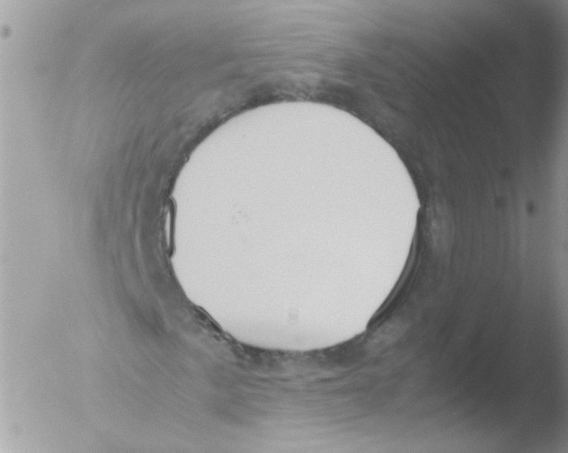 X0000051251057200507152144