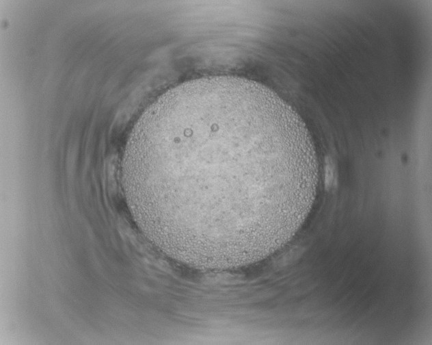 X0000051251059200507152144