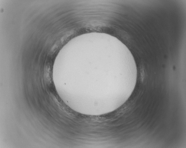 X0000051251060200507152144