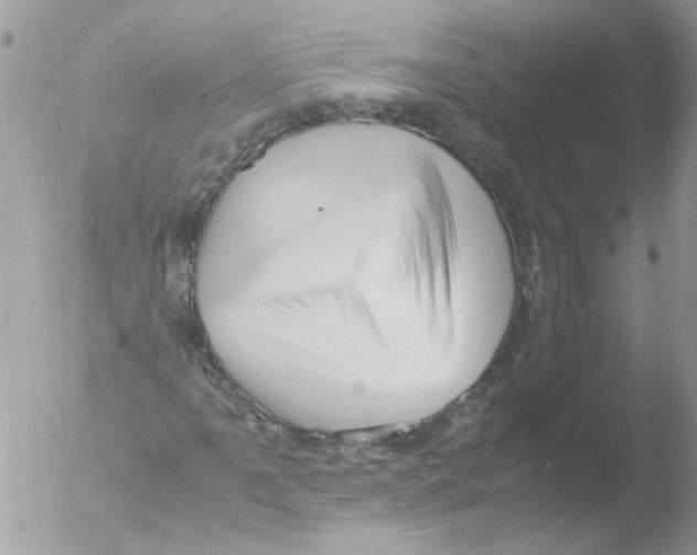 X0000051251061200507152144