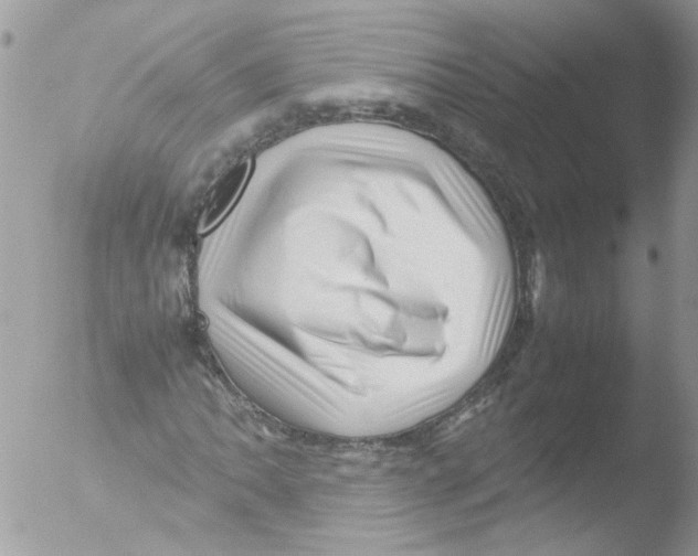 X0000051251062200507152144