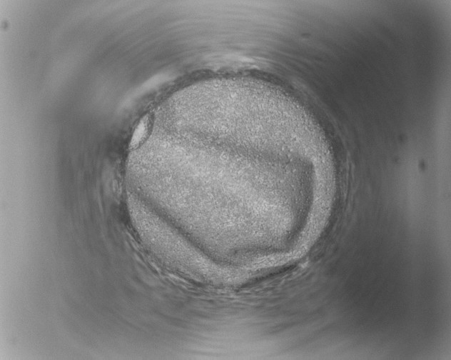 X0000051251063200507152144