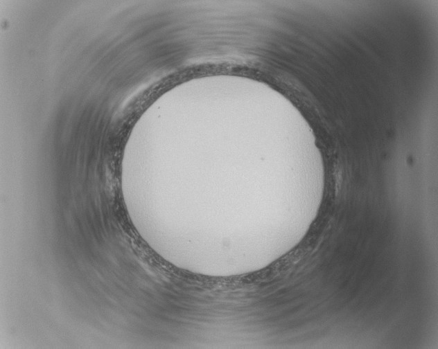 X0000051251064200507152144