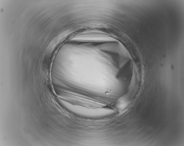 X0000051251065200507152144