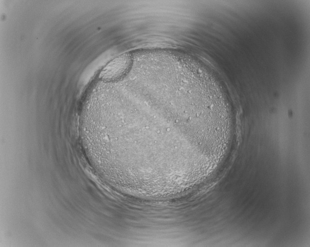 X0000051251067200507152144