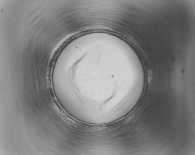 X0000051251068200507152143