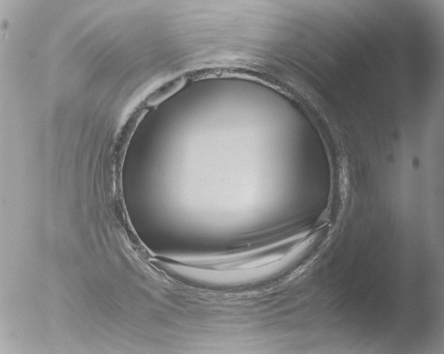 X0000051251069200507152143