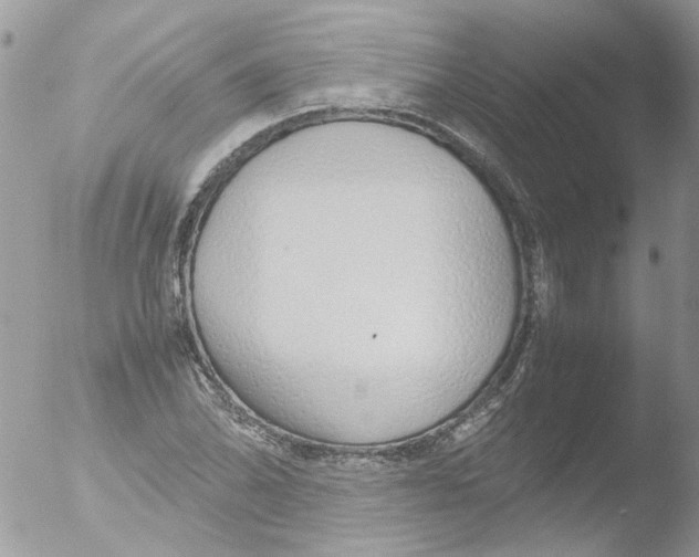 X0000051251070200507152143