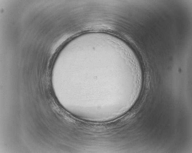 X0000051251071200507152143