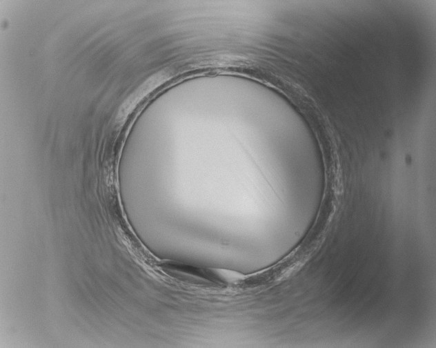 X0000051251073200507152143