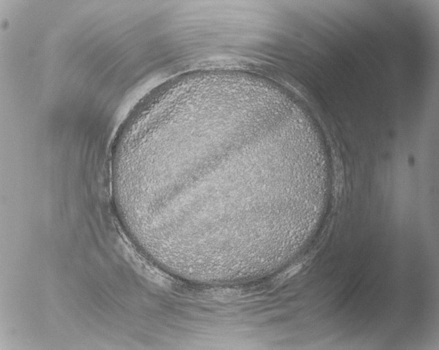 X0000051251075200507152143