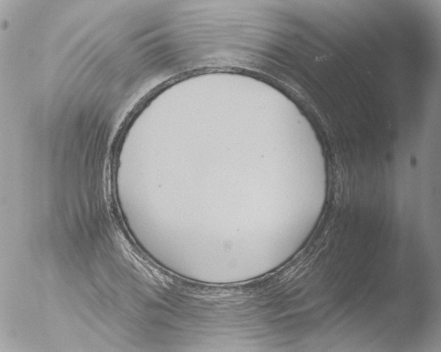 X0000051251076200507152143