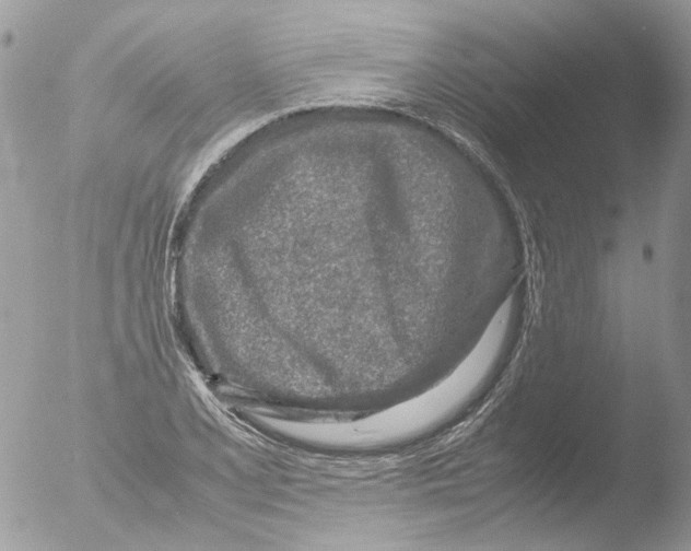 X0000051251077200507152143