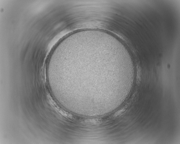 X0000051251078200507152143