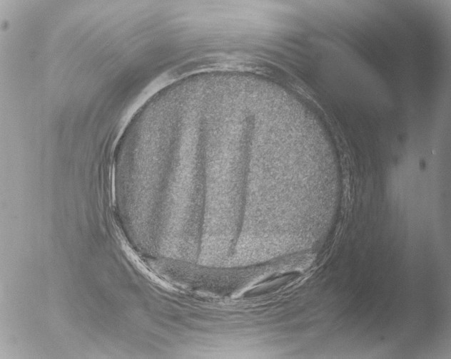 X0000051251079200507152143