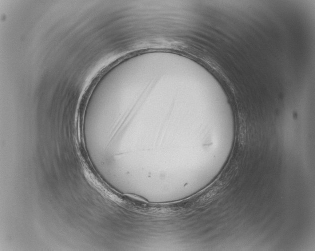 X0000051251080200507152143