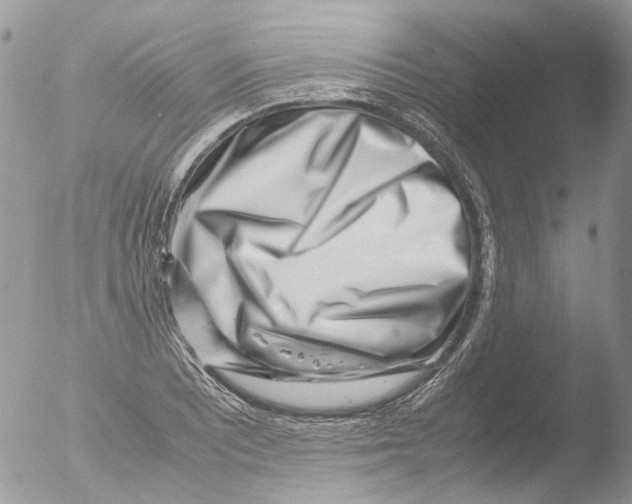 X0000051251081200507152143