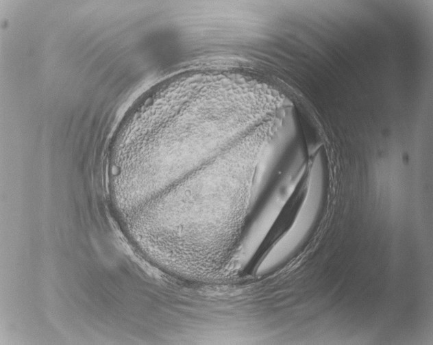 X0000051251083200507152143