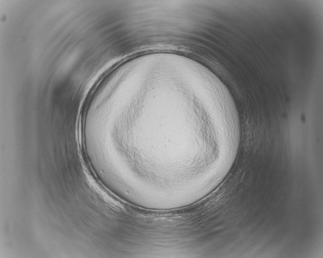 X0000051251084200507152143