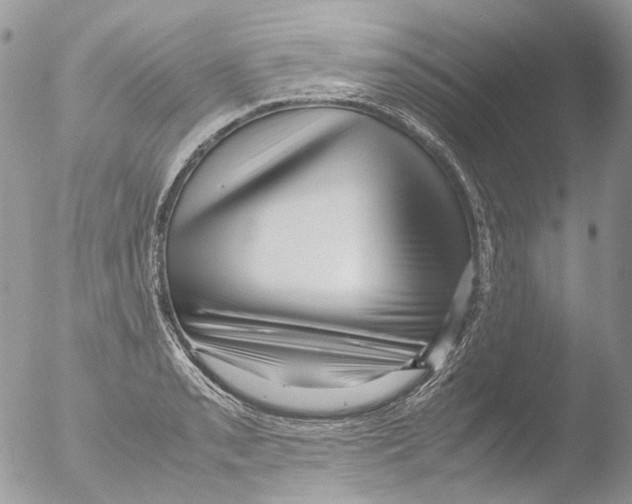 X0000051251085200507152143