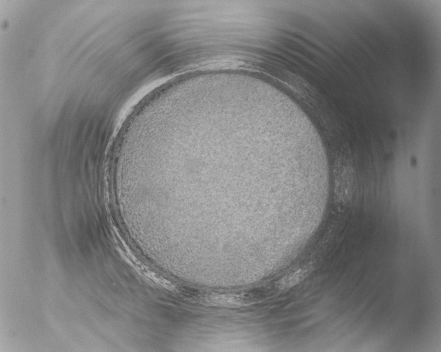 X0000051251086200507152143