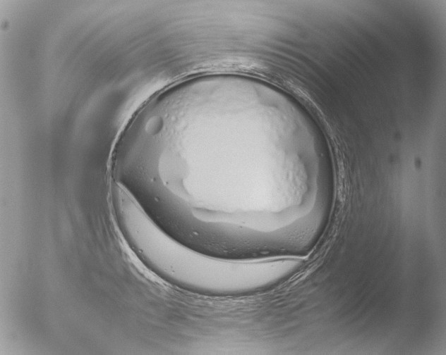 X0000051251087200507152143