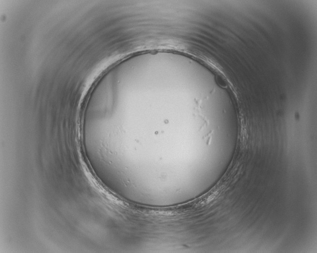 X0000051251088200507152143