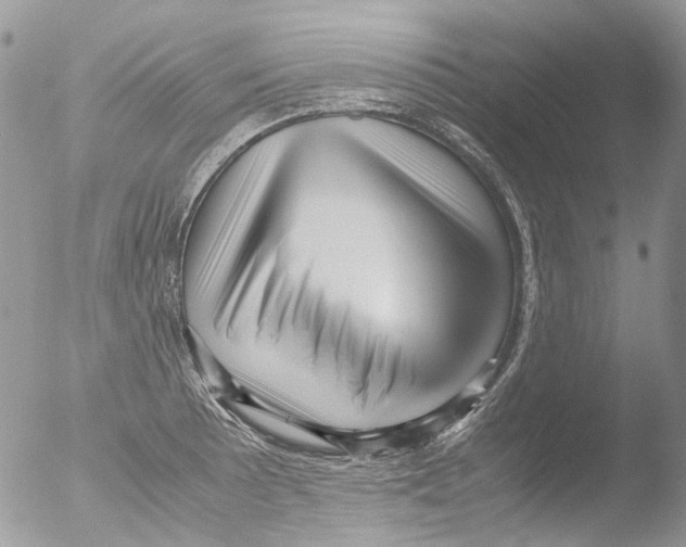 X0000051251089200507152143