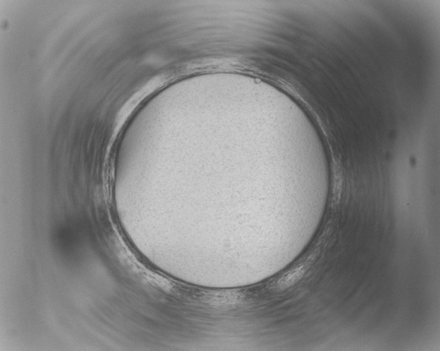 X0000051251090200507152143