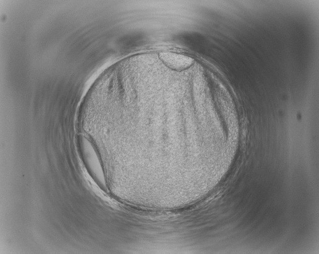 X0000051251091200507152143