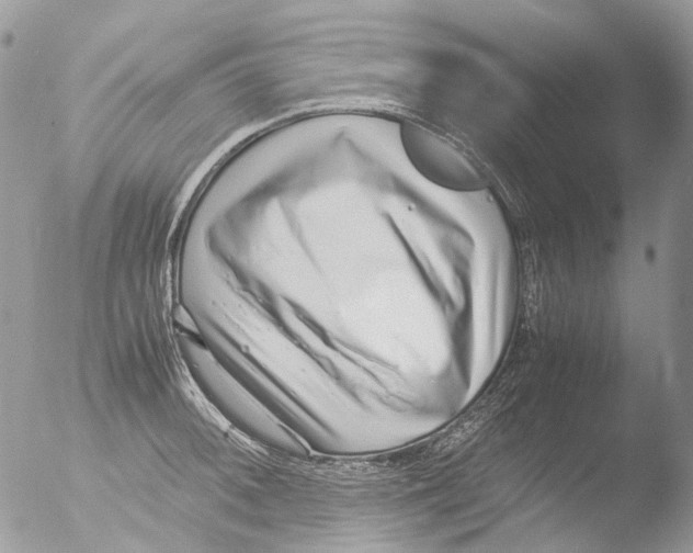 X0000051251092200507152143