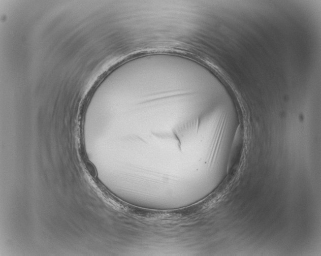 X0000051251093200507152143