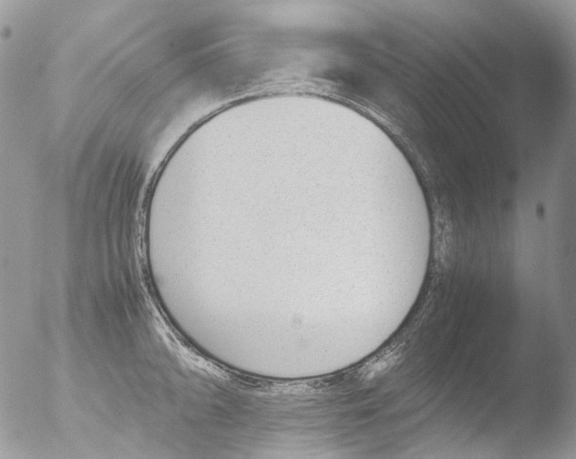 X0000051251094200507152143