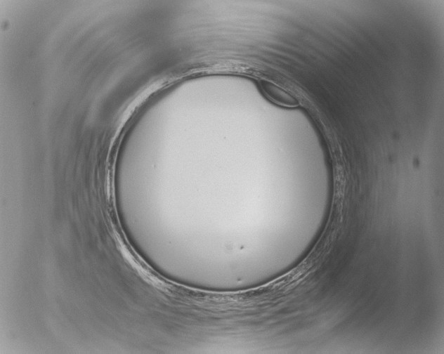 X0000051251095200507152143