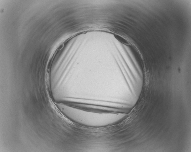 X0000051251096200507152143