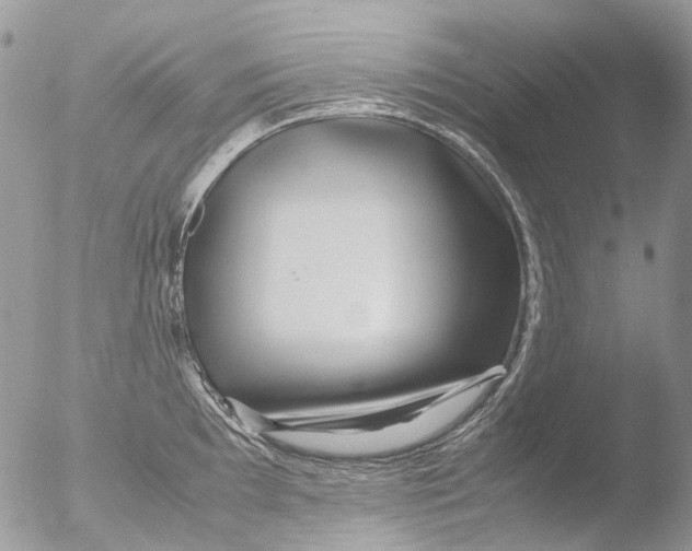 X0000051251097200507152143